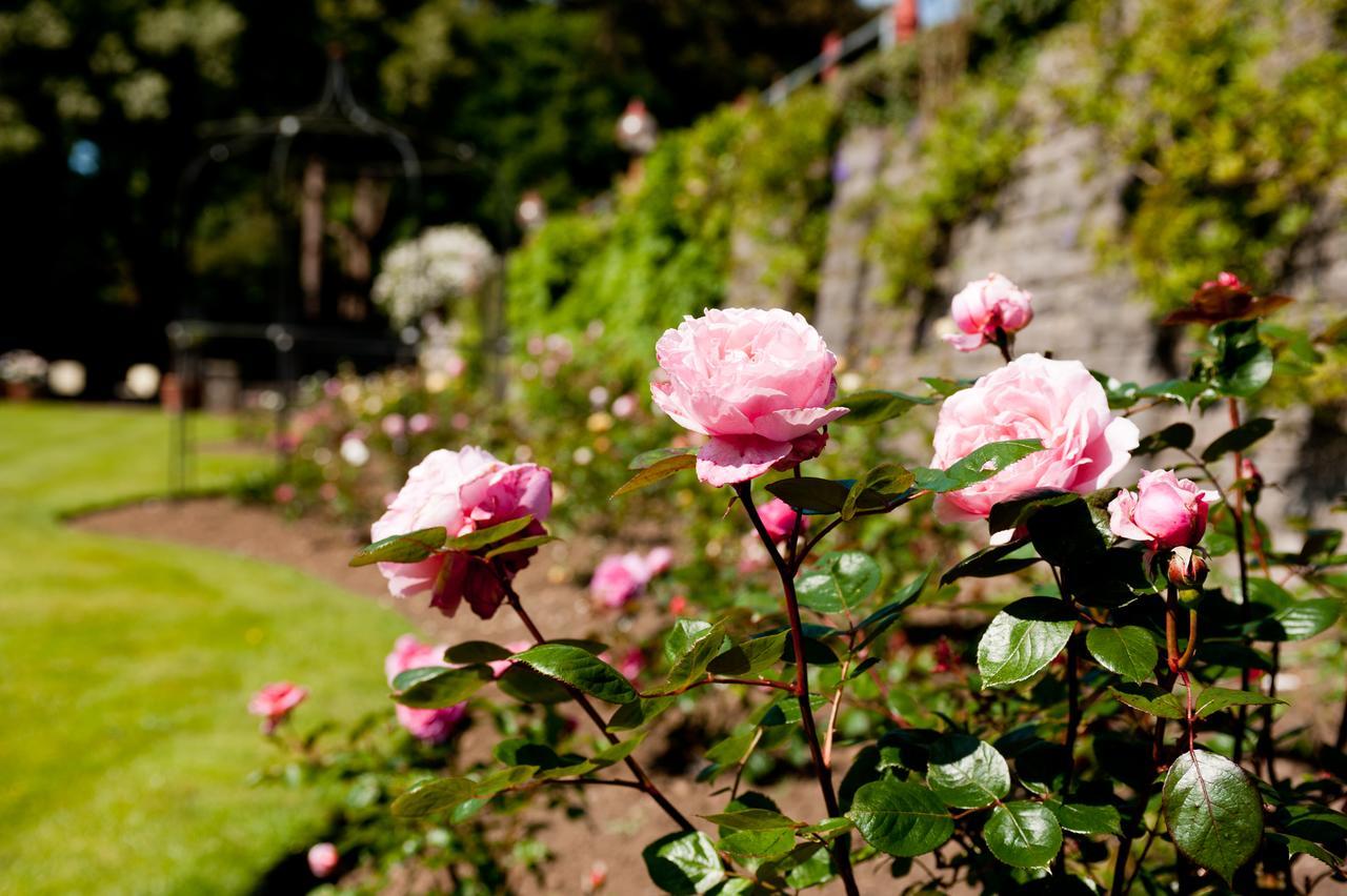 Miskin Manor Hotel Hensol Exteriér fotografie